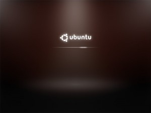 ubuntu-9.10-up